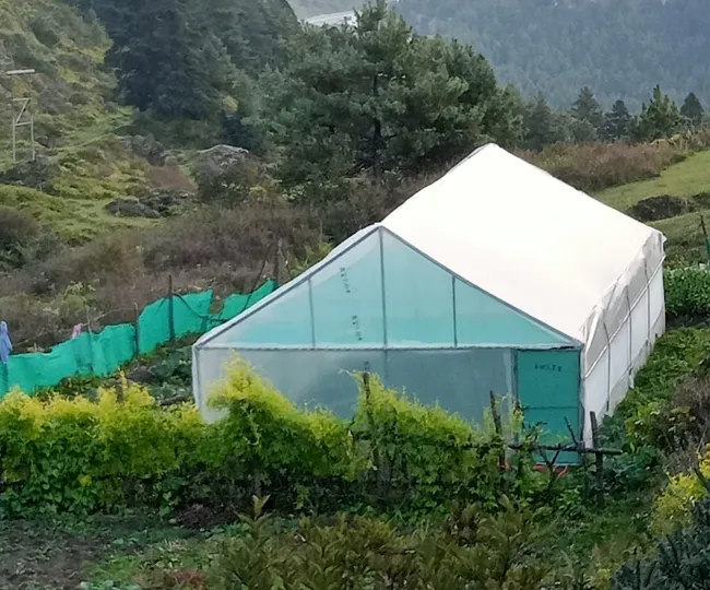 Garbyang Village पिथौरागढ़ के गर्ब्यांग गांव में सेना की ओर से बनाया गया पाली हाउस। सौ. सरपंच (3)